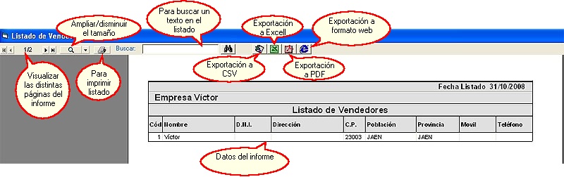 Listados-Vendedores-Previsualizar